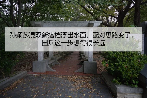 sun-ying-sha-hun-shuang-xin-da-dang-fu-chu-shui-mian-pei-dui-si-lu-bian-le-guo-ping-zhe-yi-bu-xiang-de-hen-chang-yuan-3-791.jpg