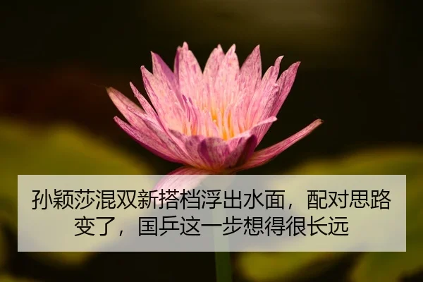 孙颖莎混双新搭档浮出水面,配对思路变了,国乒这一步想得很长远